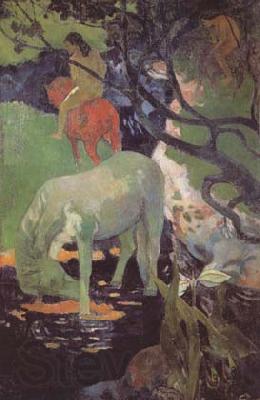 Paul Gauguin The White Horse (mk06) Norge oil painting art